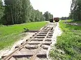 Railroad switch new