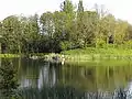 Lake in Mezőcsokonya