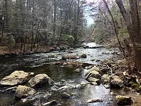 River view with rocks and trees