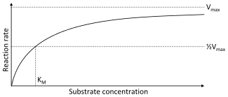 A two dimensional plot of substrate concentration (x axis) vs. reaction rate (y axis). The shape of the curve is hyperbolic. The rate of the reaction is zero at zero concentration of substrate and the rate asymptotically reaches a maximum at high substrate concentration.