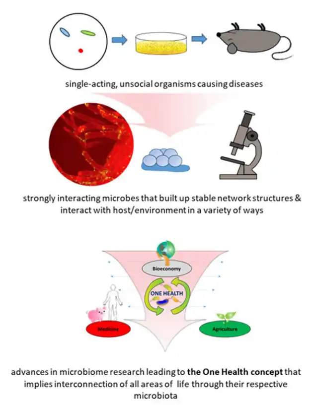 Shift of paradigm from microbes as unsocial organisms causing diseases to a holistic view of microorganisms as the centre of the One Health Concept interconnecting all areas of human lives.