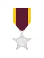 Military Service Star