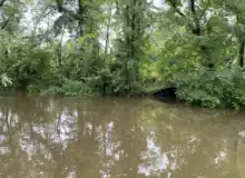 Brown water floods a black pedestrian tunnel. Leafy trees form the backdrop.