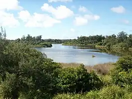 A lake on the island