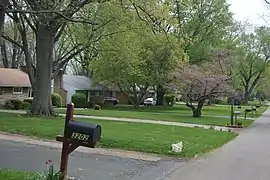 Houses in Minerva Park, a village in the Northland area