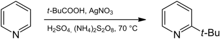 Reaction between pyridine and pivalic acid to 2-tert-butylpyridine
