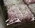 Mixed lamingtons (cropped)