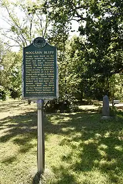 Moccasin Bluff site