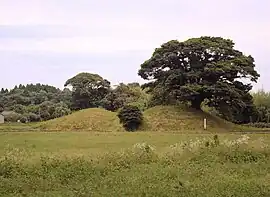 Mochida Kofun Cluster