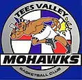 Tees Valley Mohawks logo