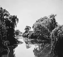 Molonglo River at Acton in 1920, prior to the damming of the river to form Lake Burley Griffin.