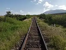 Picture showing the old metre gauge railway line neglected and overgrown with bushes.