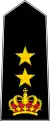 Lieutenant Colonel