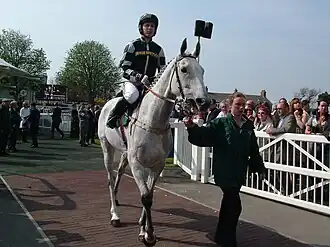 With Tony Dobbin aboard, leaving the parade ring at Aintree prior to his Melling Chase victory in April 2007.