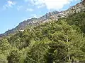 Mountains in the Asco valley in Haute-Corse