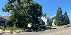 A long, residential street, showing grey and blue colored houses with green trees in their yards. The sky is bright blue. There’s a lilac bush in the distance.