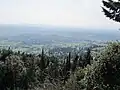 View of the city of Florence