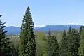 View to the north towards Montecito, Cathedral Mountain and Mt. Seymour from Robert Burnaby Park