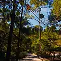 Path Leading from Garden