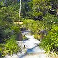 Wooden Plank Bridge over Creek