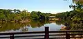 View of Japanese Tea House across lake