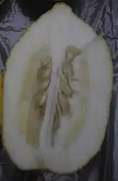 Cross section of a Moroccan citron