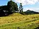 A recently mown field with a conical mound to the left which is surrounded by trees. In the distance is the Skirrid mountain.