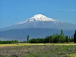 Ararat, from west