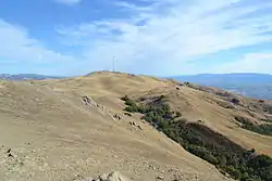 Mount Allison seen from Mission Peak