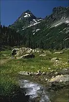 Subalpine meadow in Mount Baker-Snoqualmie National Forest