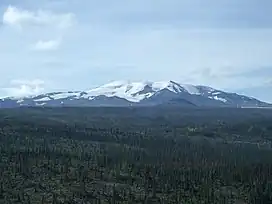 A glaciated, dome-shaped mountain rising over vegetated plateau in the foreground.