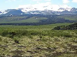 A landscape of grass, with a large mountain looming in the background.