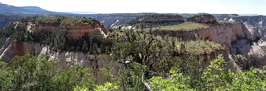 The top of Majestic, from West Rim Trail. 6,956' summit to right, 6,955' north summit left. Top of Cathedral in between.