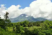 Cuernos de Negros in Negros Island