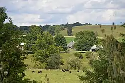 Mountain View Farm