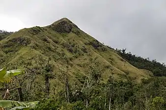 Mountain in Jayuya