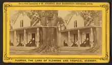 A stereoscope card showing a cottage with five people sitting on the porch and an enormous oak tree growing on the right; the tree is so large it appears to be growing through the roof and the drainpipe wraps around it