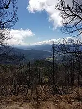 View after 2017 fire