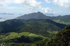 Bream Head and the Bream Islands viewed from atop the summit