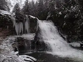 Tumbling waters in winter