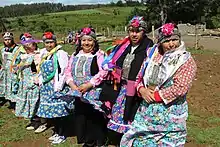 Mapuche women from Tirúa (2015)