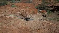 Mulgan Rockhole