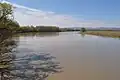 Mureș river near Ilia, Romania