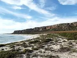 There are only a handful of shell middens along the West Coast of South Africa that are as large and deep as Mike Taylor's Midden (MTM). These very large sites, named "megamiddens", are the expression of unique social and economic (subsistence) solutions to environmental and demographic challenges that pre-colonial san hunter-gatherers had to face between 3000 and 2000 years before present (BP). MTM megamidden is at least 350m long and 200m wide and has a depth that varies between 1.0 and 1.5m. MTM dates to between 980 and 2800 BP, however, much of this occupational sequence dates to between 2100 and 2500 BP. For this reason, MTM is singular among megamiddens in that it offers the best chronological resolution (greatest volume for shortest period of time) for the later part of this unique period of the precolonial history of South Africa.