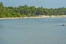 Muzhappilangad beach