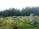 Mynydd March Hywel trig point