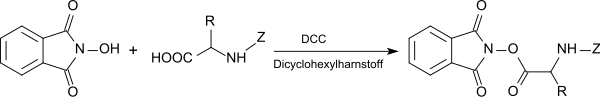 Conversion of the C-terminus of a peptide to an active ester of N-hydroxyphthalimide