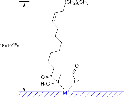 Adsorption of N-oleoylsarcosin on a metal surface