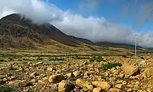 Mountain landscape with little vegetation and ocher stones.