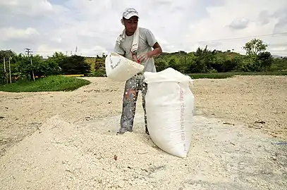 Cassava starch flour processing